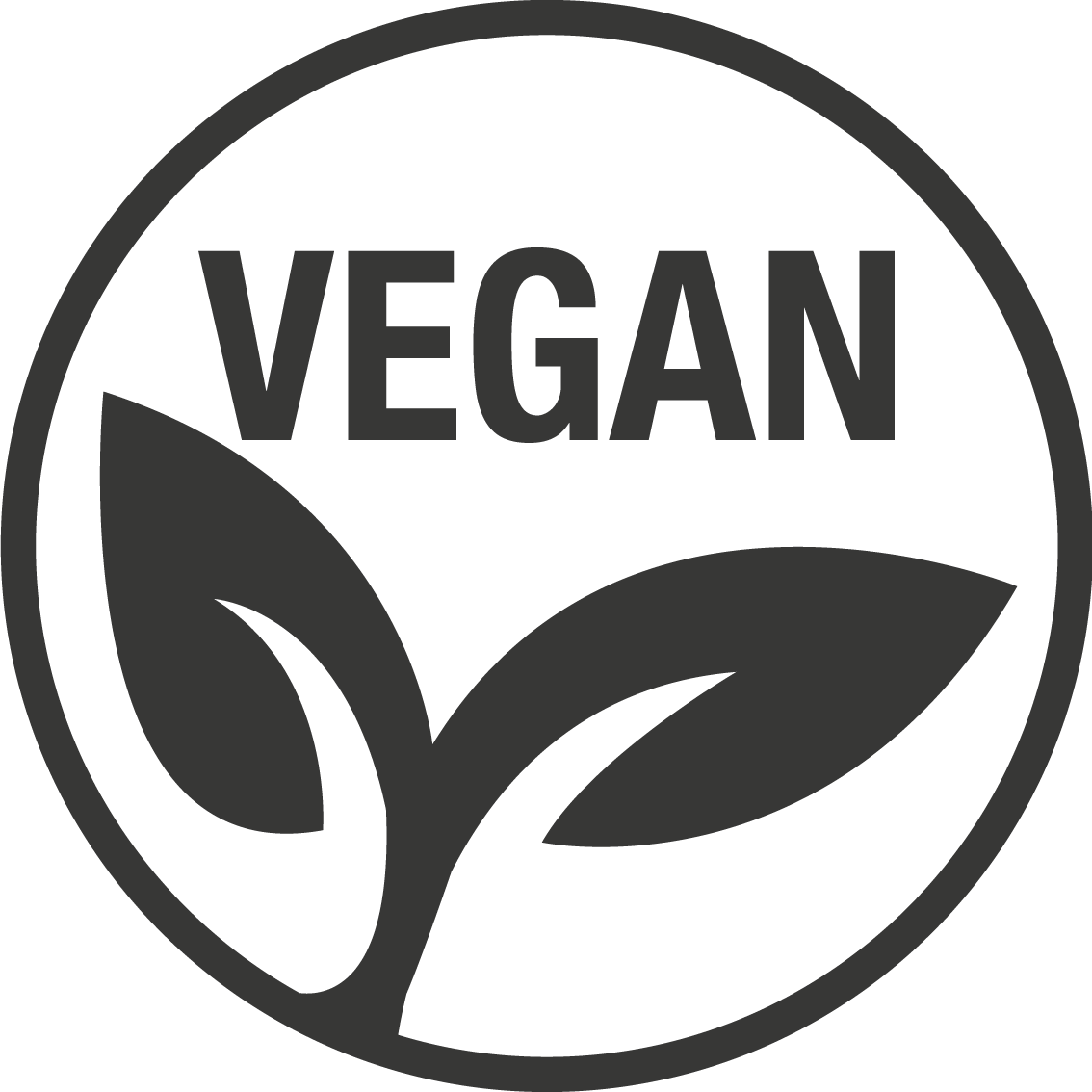 Vegan Tortillas